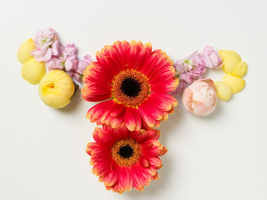 BENEFITS OF USING LAPISZ PANTY