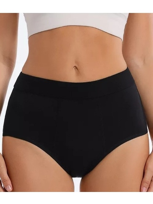 LAPISZ Classic High Waist underwear